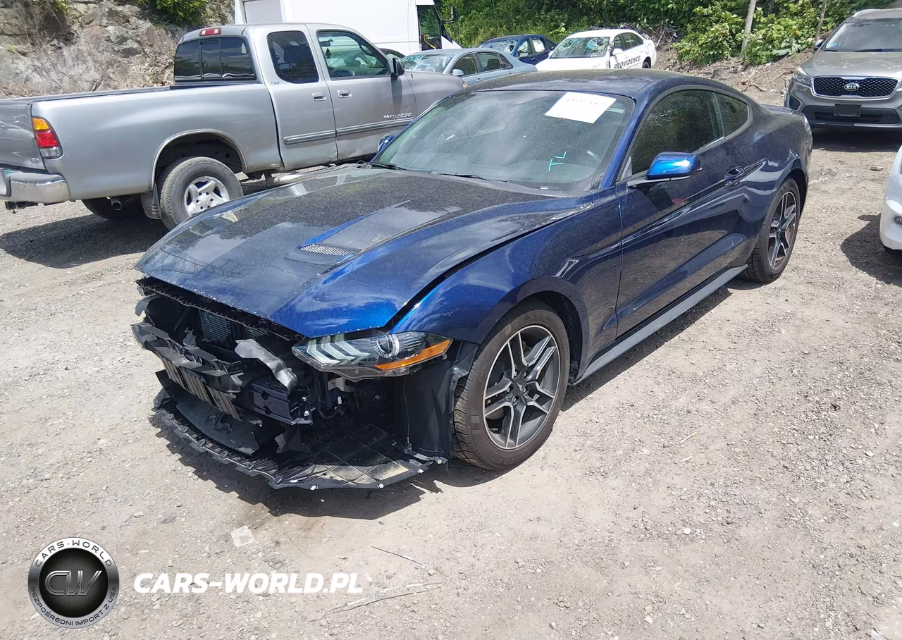 2019 Ford Mustang Ecoboost VIN:1FA6P8TH4K5133331 - 2