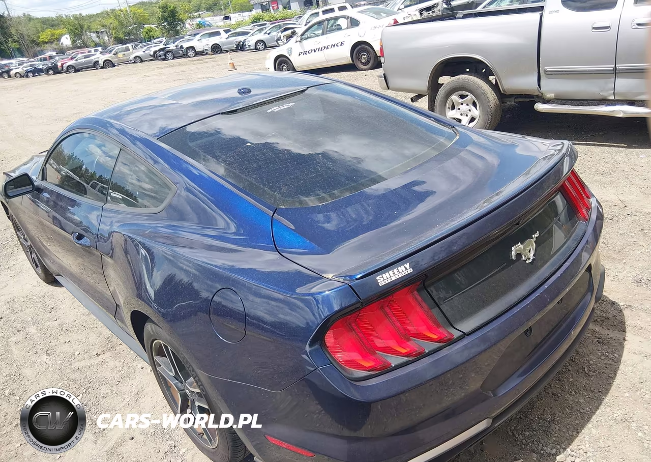 2019 Ford Mustang Ecoboost VIN:1FA6P8TH4K5133331 - 3