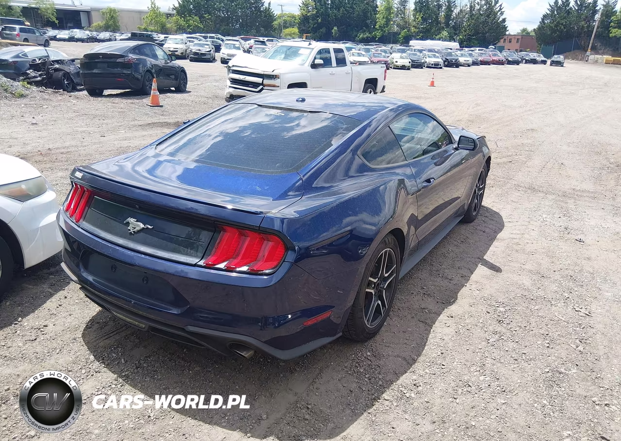 2019 Ford Mustang Ecoboost VIN:1FA6P8TH4K5133331 - 4