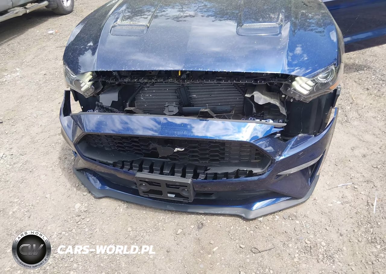 2019 Ford Mustang Ecoboost VIN:1FA6P8TH4K5133331 - 6