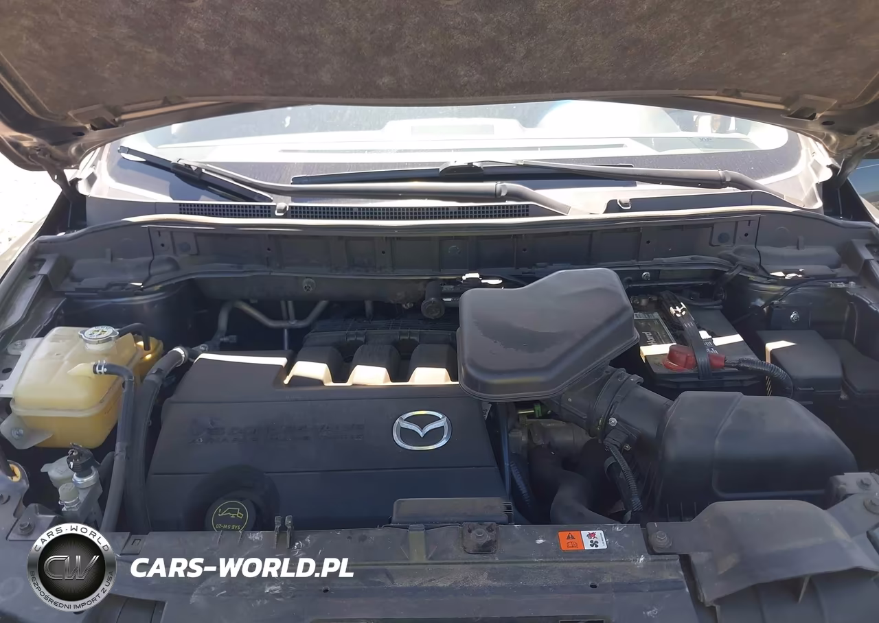 2013 Mazda Cx-9 Touring VIN:JM3TB2CA9D0405973 - 10