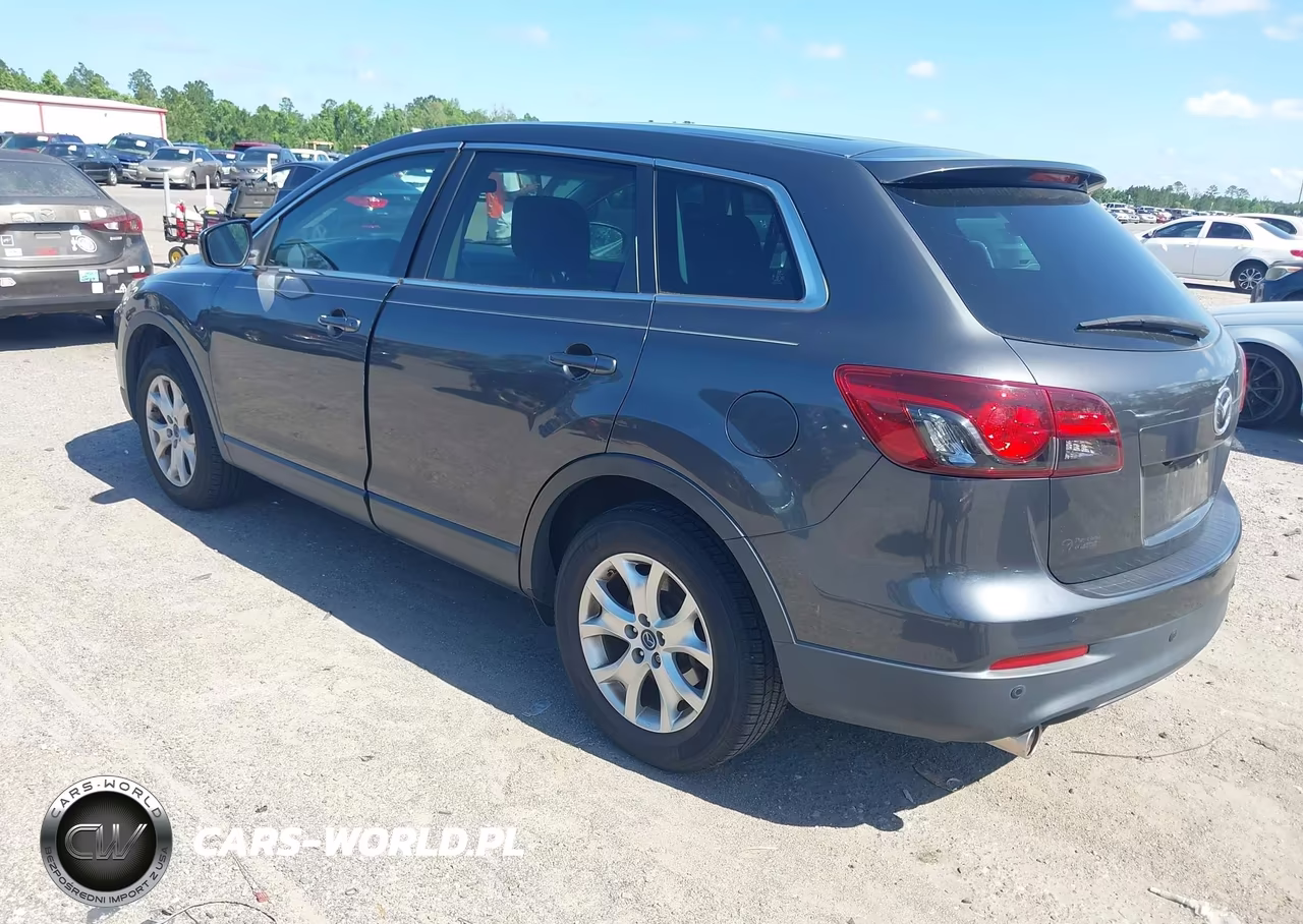 2013 Mazda Cx-9 Touring VIN:JM3TB2CA9D0405973 - 3