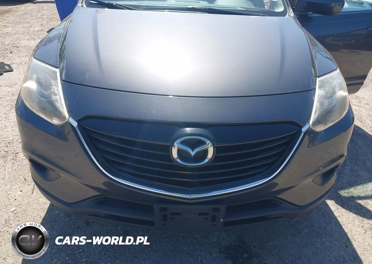 2013 Mazda Cx-9 Touring VIN:JM3TB2CA9D0405973 - 6