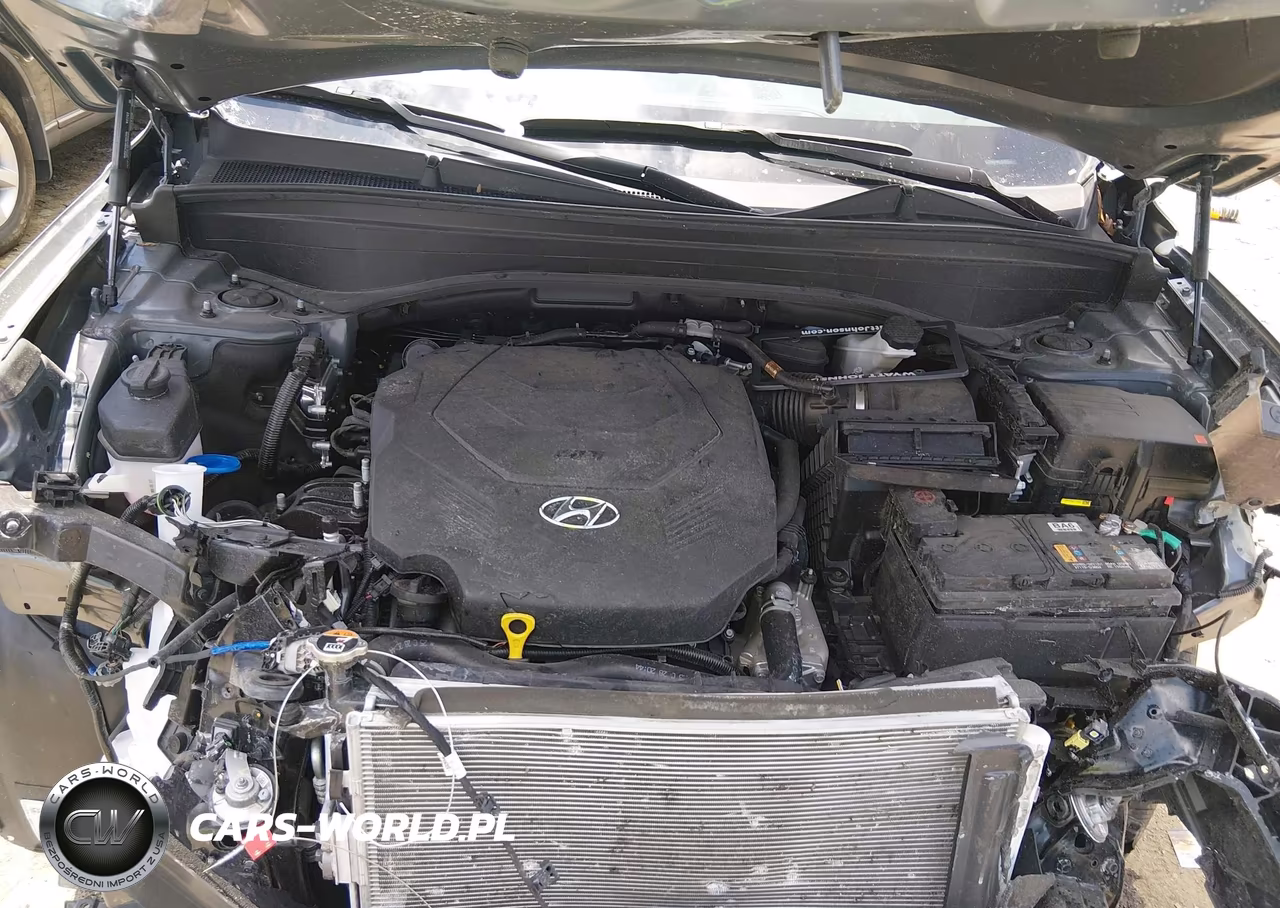 2025 Hyundai Palisade Xrt VIN:KM8R3DGE8SU945227 - 10