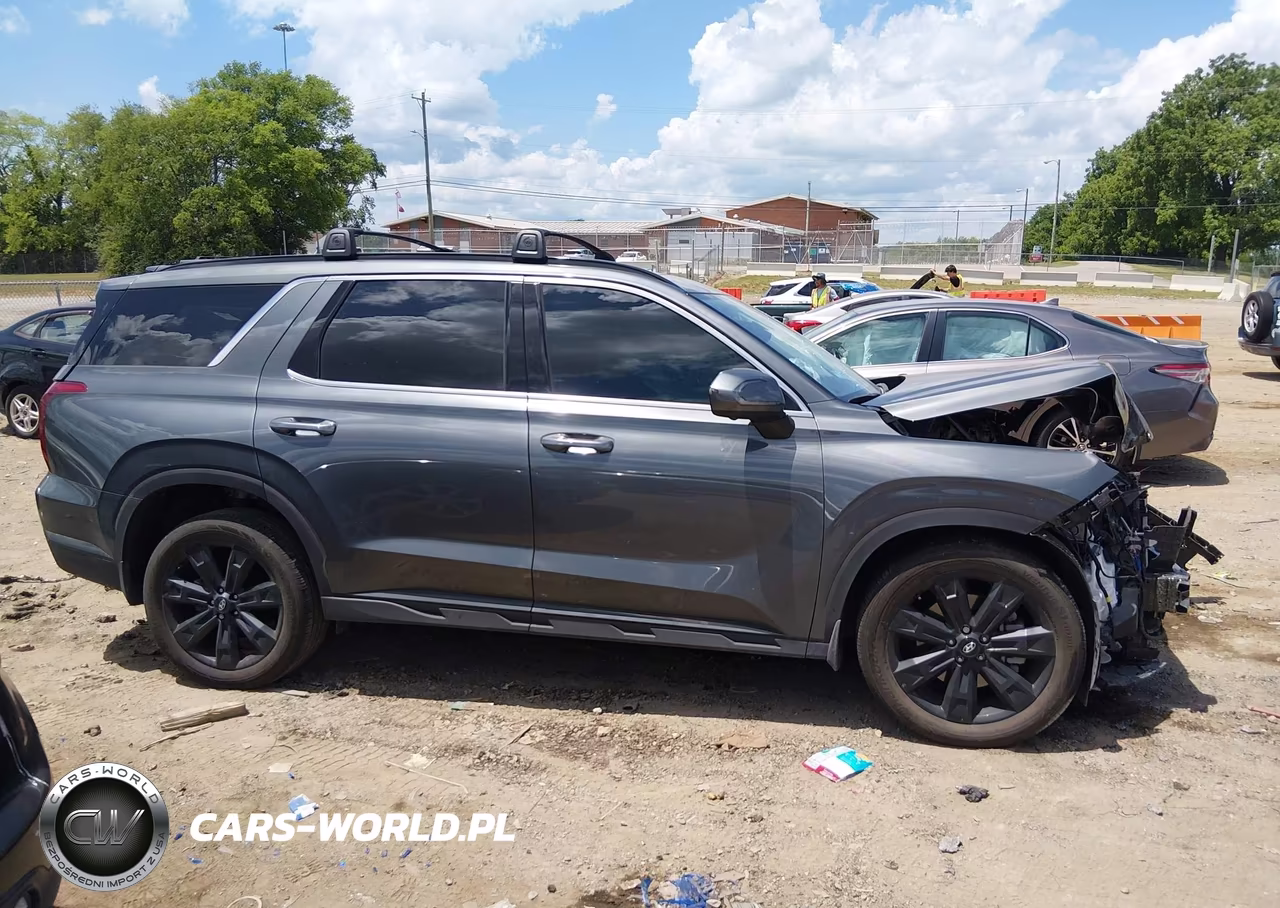 2025 Hyundai Palisade Xrt VIN:KM8R3DGE8SU945227 - 12