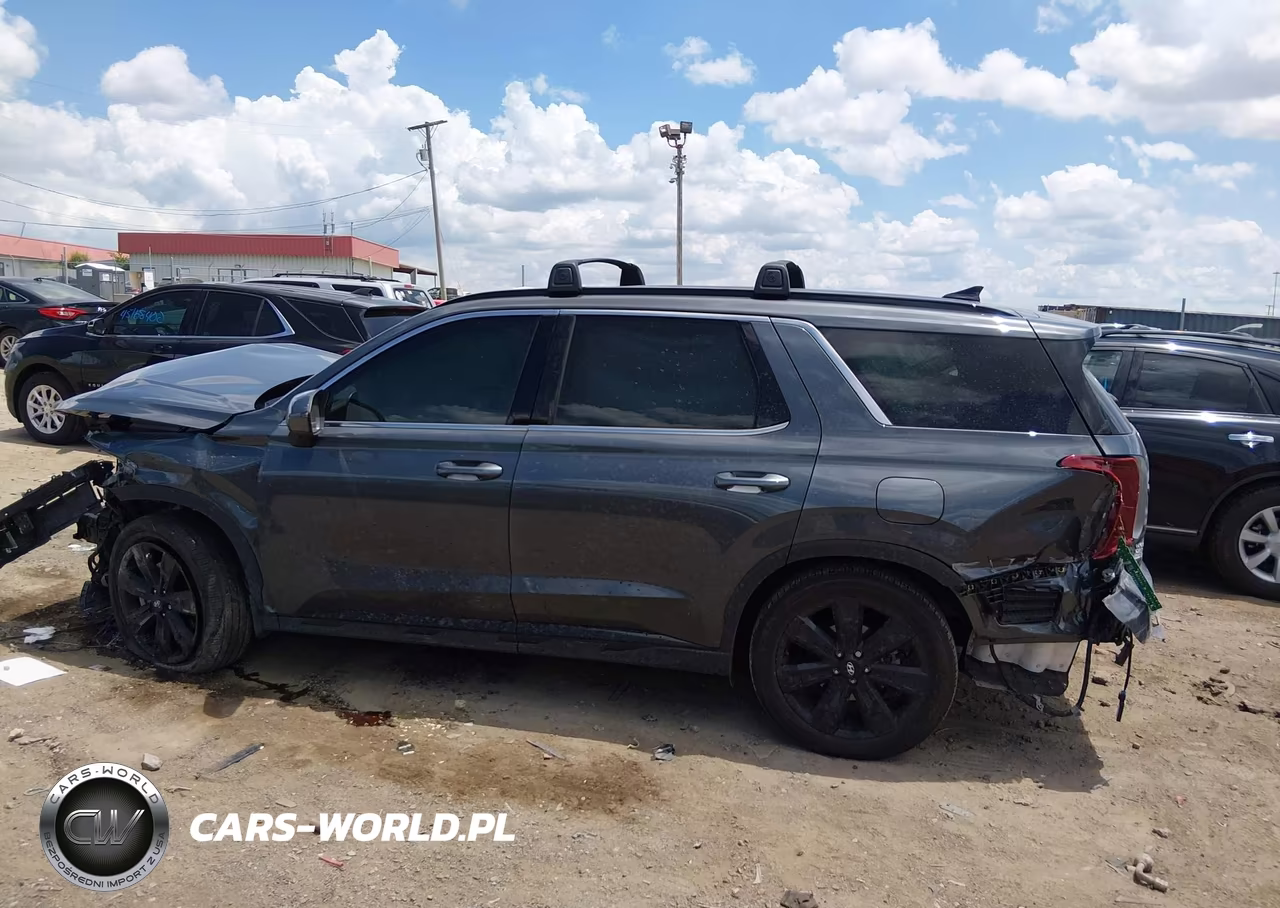 2025 Hyundai Palisade Xrt VIN:KM8R3DGE8SU945227 - 13