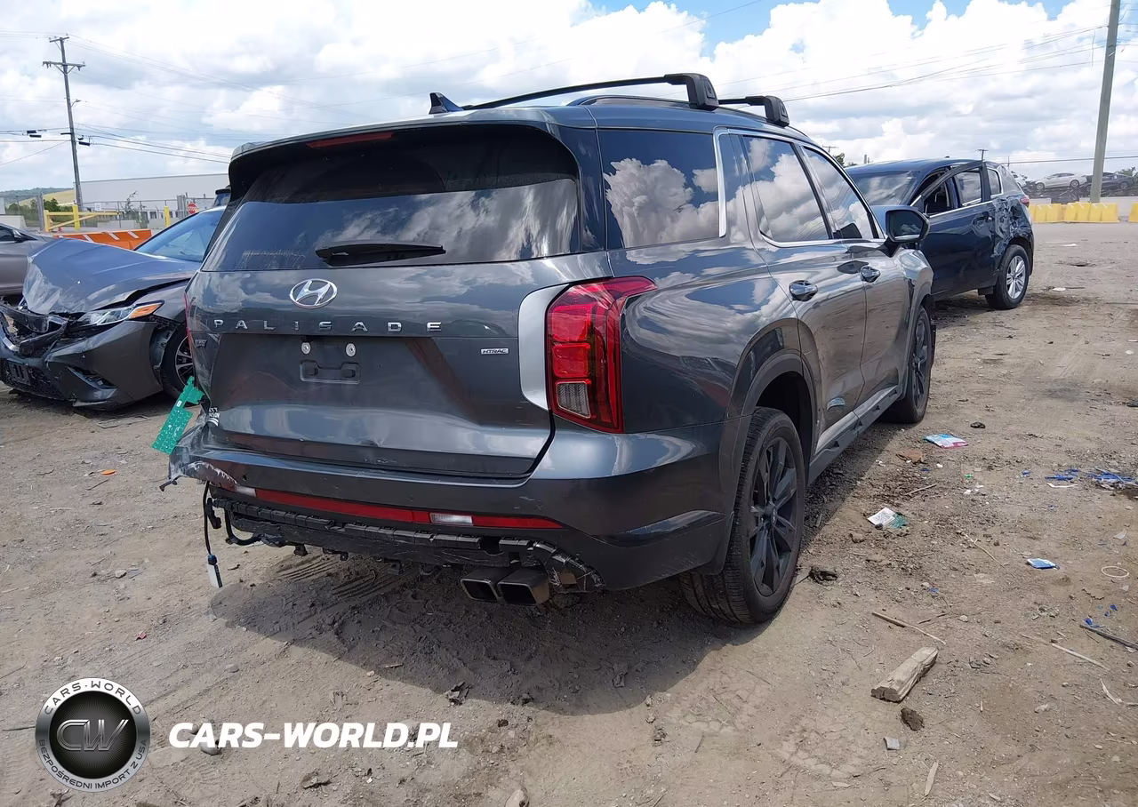 2025 Hyundai Palisade Xrt VIN:KM8R3DGE8SU945227 - 4