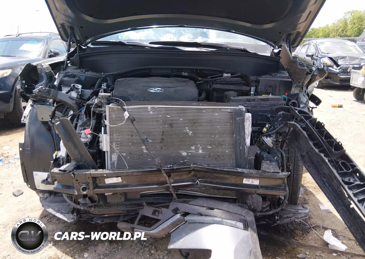 2025 Hyundai Palisade Xrt VIN:KM8R3DGE8SU945227 - 6