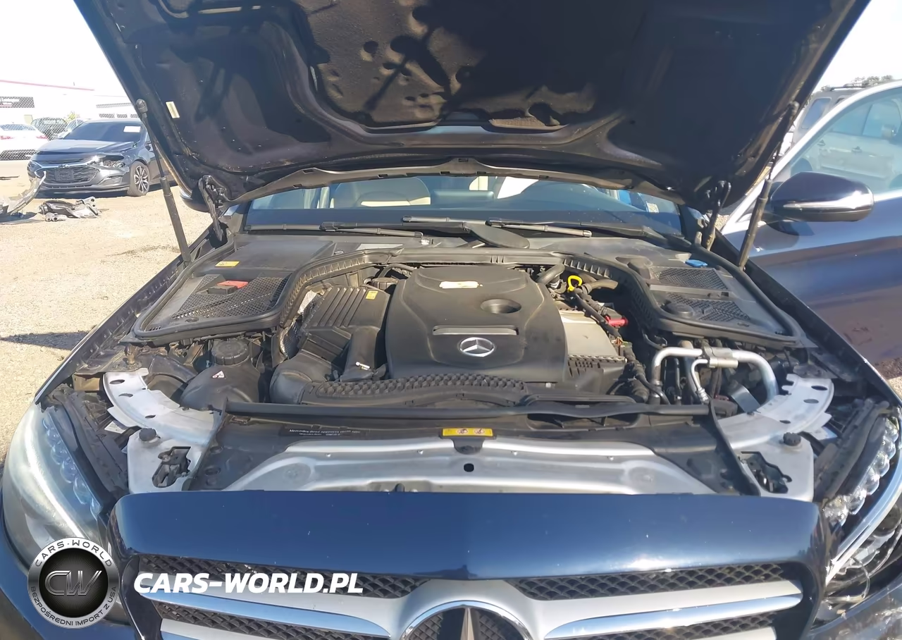 2015 Mercedes-Benz C 300 4Matic VIN:55SWF4KB1FU038117 - 10