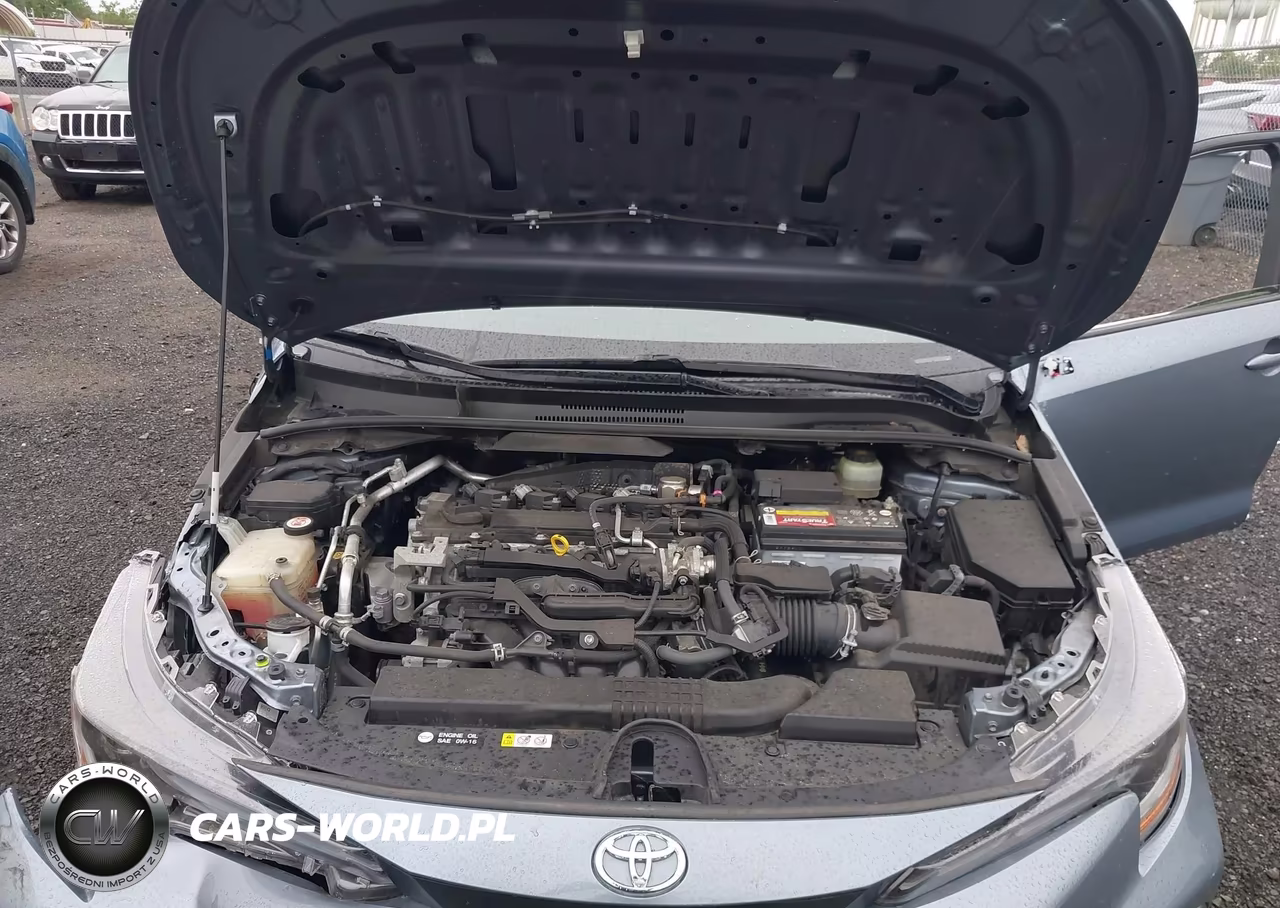 2020 Toyota Corolla Se VIN:JTDS4RCE8LJ040690 - 10