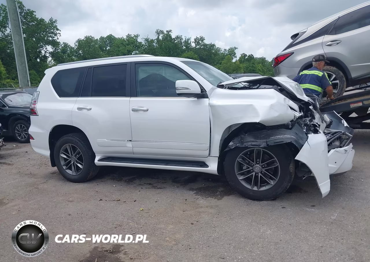 2018 Lexus Gx 460 VIN:JTJBM7FXXJ5195035 - 13
