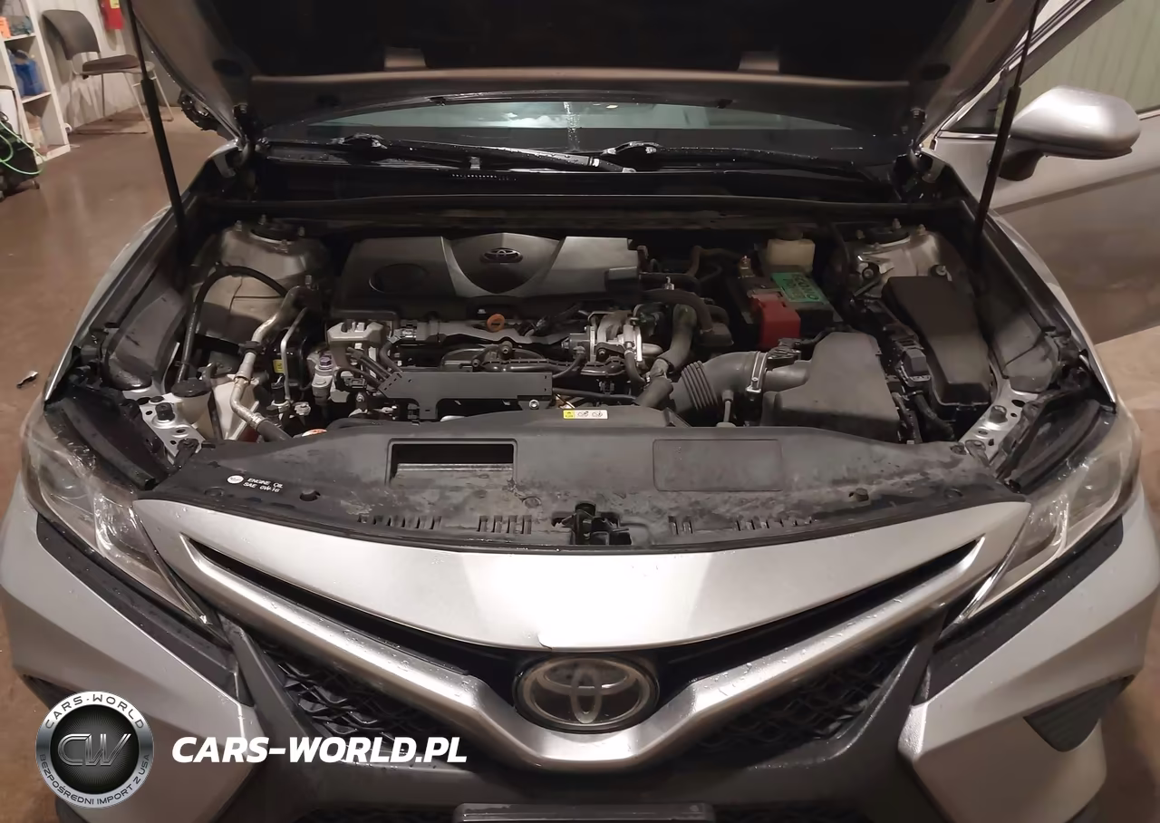2018 Toyota Camry Se VIN:4T1B11HK4JU065439 - 10