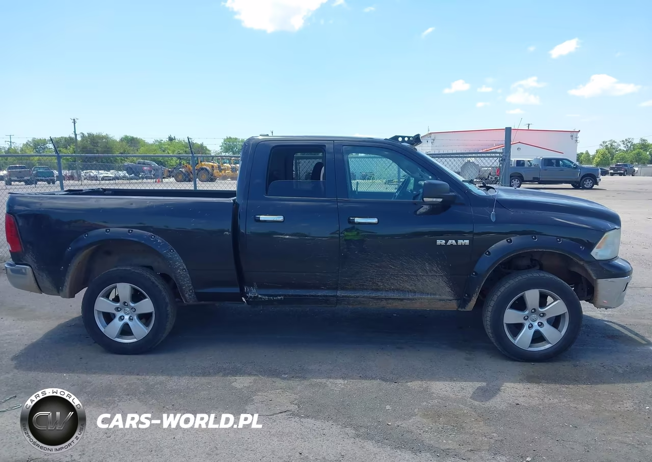2010 Dodge Ram 1500 Slt-Sport-Trx VIN:1D7RV1GT3AS133605 - 13