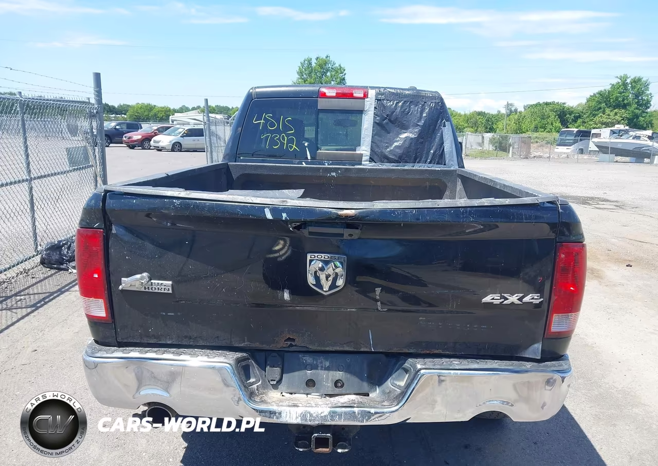 2010 Dodge Ram 1500 Slt-Sport-Trx VIN:1D7RV1GT3AS133605 - 16