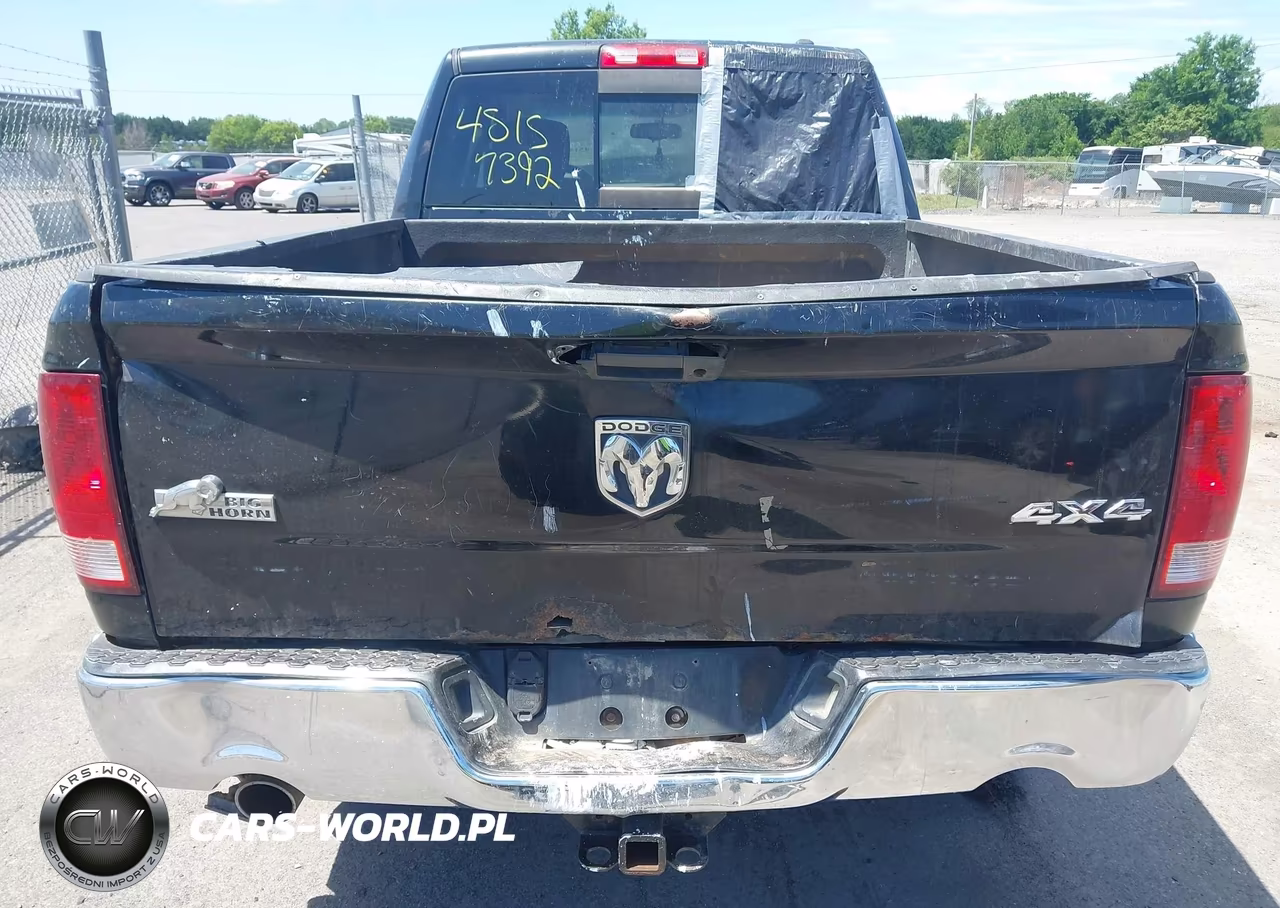 2010 Dodge Ram 1500 Slt-Sport-Trx VIN:1D7RV1GT3AS133605 - 18