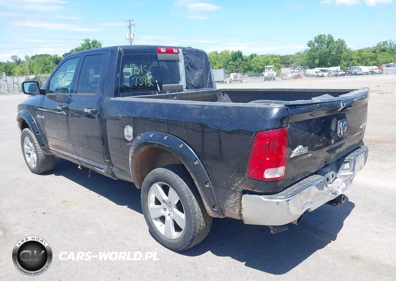 2010 Dodge Ram 1500 Slt-Sport-Trx VIN:1D7RV1GT3AS133605 - 3