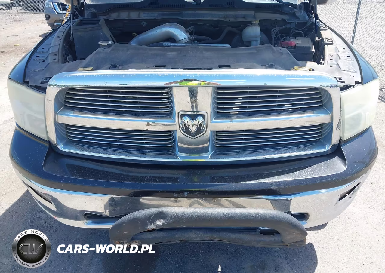 2010 Dodge Ram 1500 Slt-Sport-Trx VIN:1D7RV1GT3AS133605 - 6