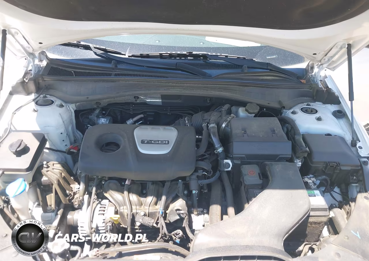 2019 Kia Optima Ex VIN:5XXGU4L15KG332399 - 10
