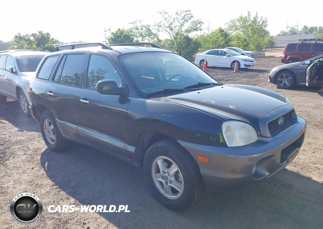 2003 Hyundai Santa Fe Gls-Lx
