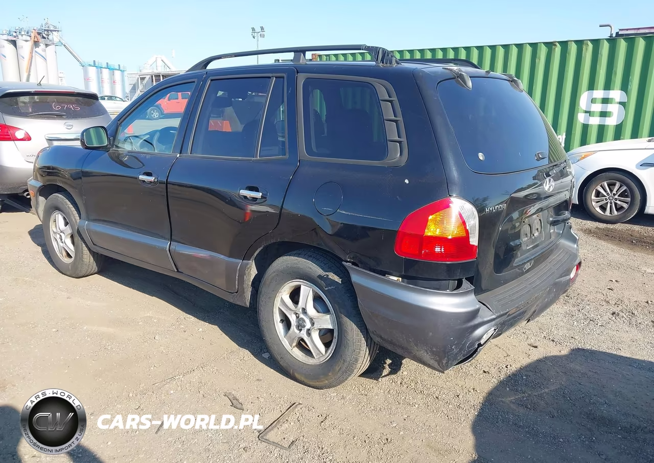 2003 Hyundai Santa Fe Gls-Lx VIN:KM8SC13D93U465938 - 3