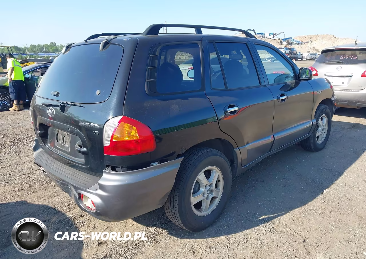 2003 Hyundai Santa Fe Gls-Lx VIN:KM8SC13D93U465938 - 4