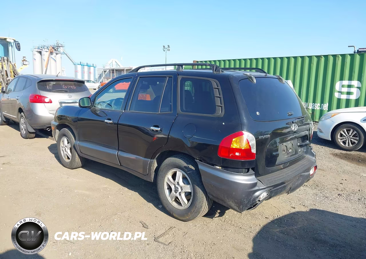 2003 Hyundai Santa Fe Gls-Lx VIN:KM8SC13D93U465938 - 6