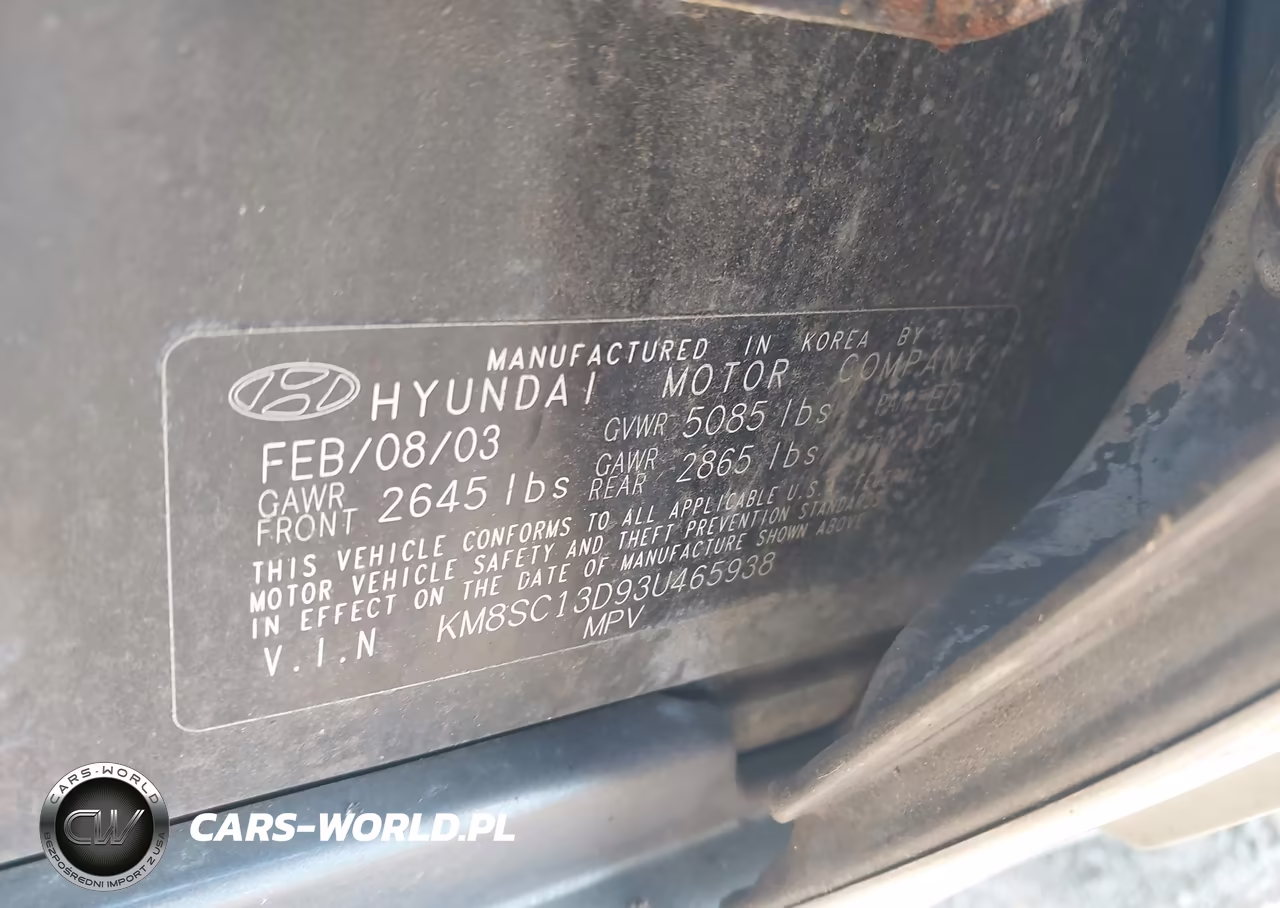 2003 Hyundai Santa Fe Gls-Lx VIN:KM8SC13D93U465938 - 9