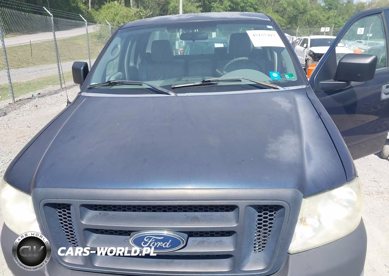 2005 Ford F-150 Stx-Xl-Xlt VIN:1FTRF14W35NB95502 - 10