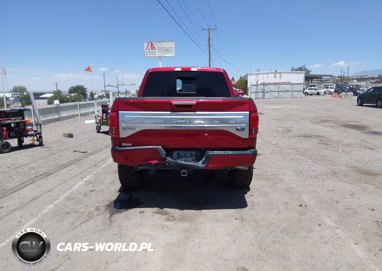 2015 Ford F-150 Platinum VIN:1FTEW1EG5FFC71626 - 16