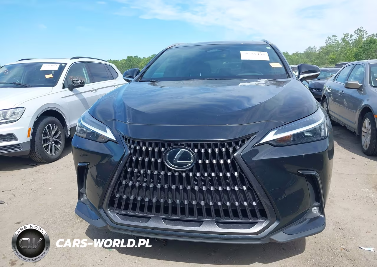 2023 Lexus Nx 250 VIN:2T2ADCEZXPC002626 - 12