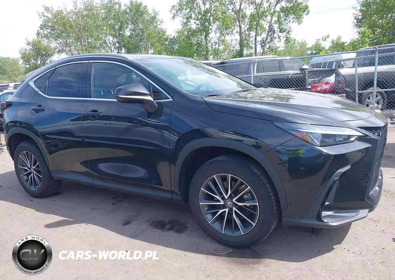 2023 Lexus Nx 250 VIN:2T2ADCEZXPC002626 - 13