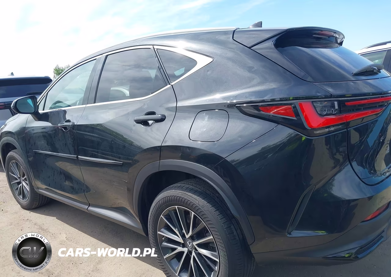 2023 Lexus Nx 250 VIN:2T2ADCEZXPC002626 - 14