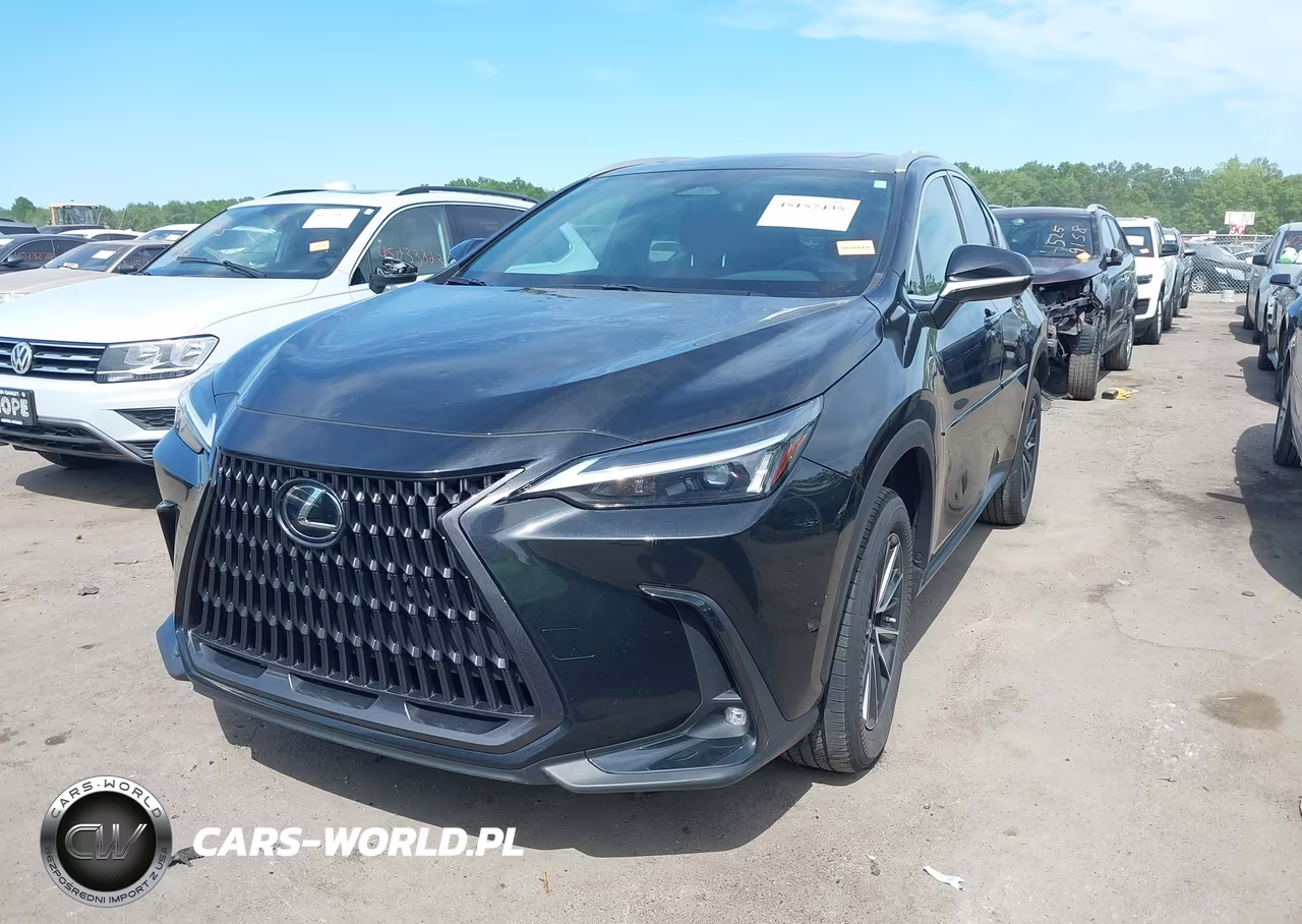 2023 Lexus Nx 250 VIN:2T2ADCEZXPC002626 - 2