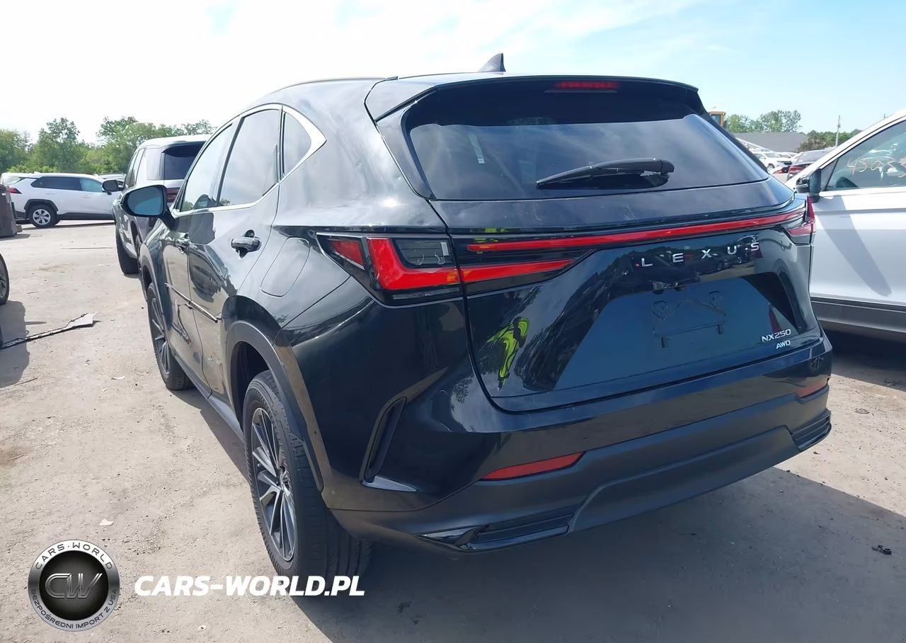 2023 Lexus Nx 250 VIN:2T2ADCEZXPC002626 - 3