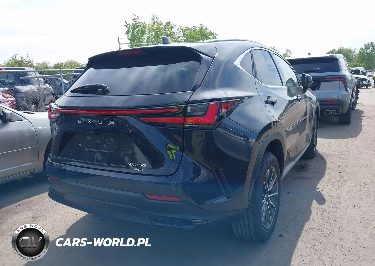 2023 Lexus Nx 250 VIN:2T2ADCEZXPC002626 - 4