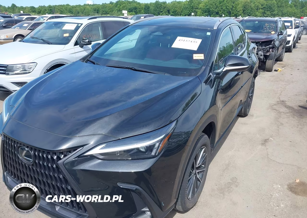 2023 Lexus Nx 250 VIN:2T2ADCEZXPC002626 - 6
