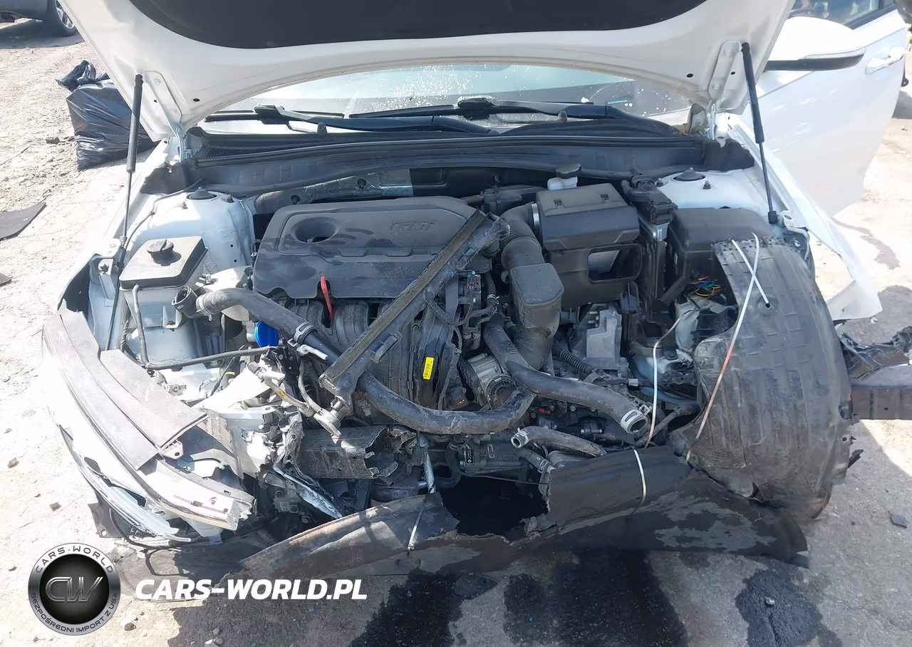 2020 Kia Optima Lx VIN:5XXGT4L35LG430743 - 10