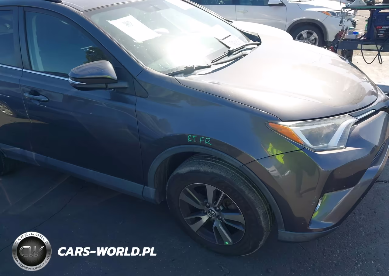2016 Toyota Rav4 Xle VIN:2T3WFREV8GW242526 - 14