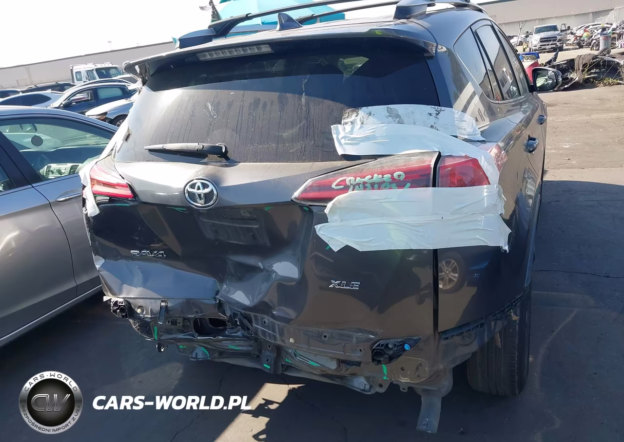 2016 Toyota Rav4 Xle VIN:2T3WFREV8GW242526 - 17