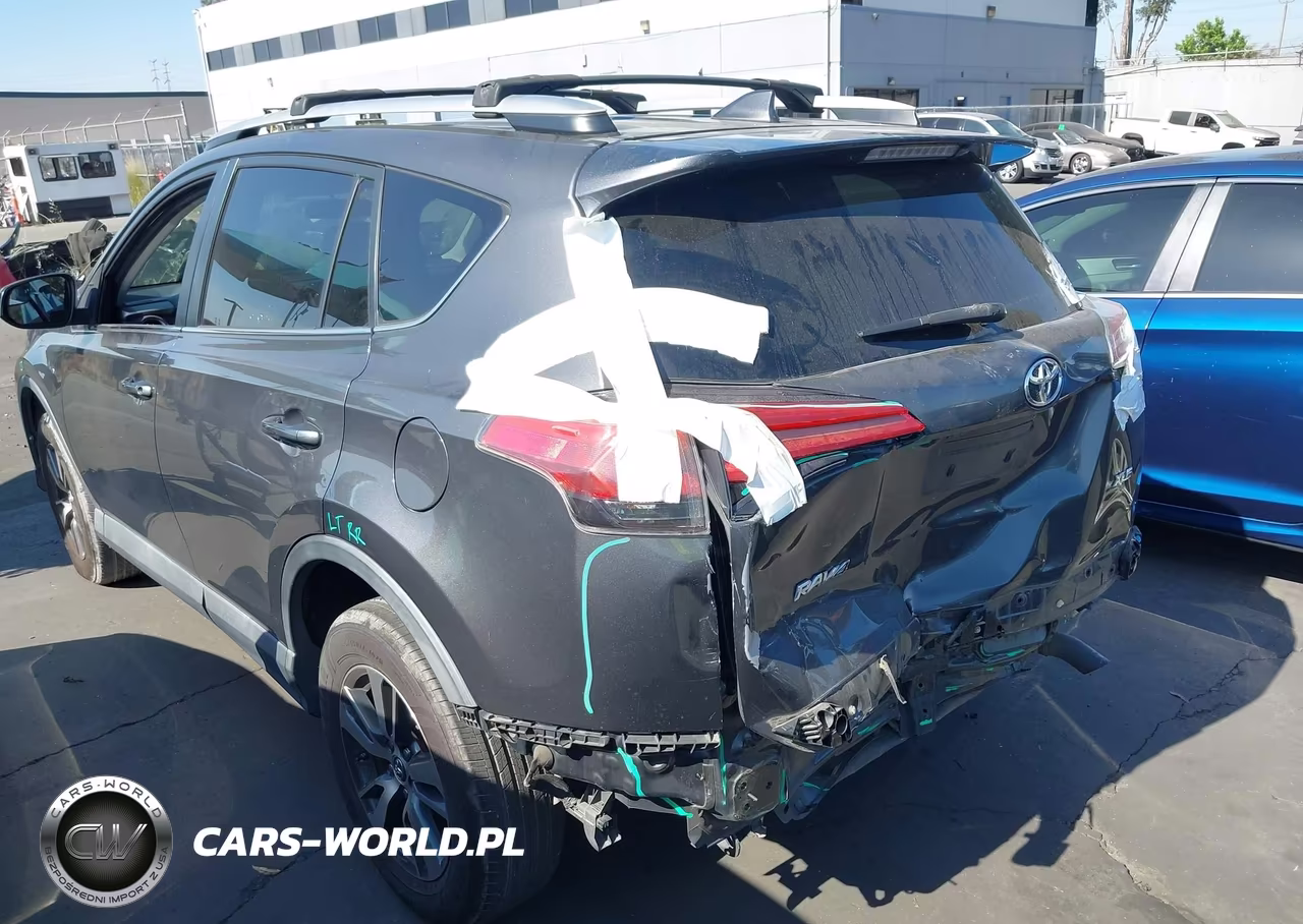 2016 Toyota Rav4 Xle VIN:2T3WFREV8GW242526 - 3