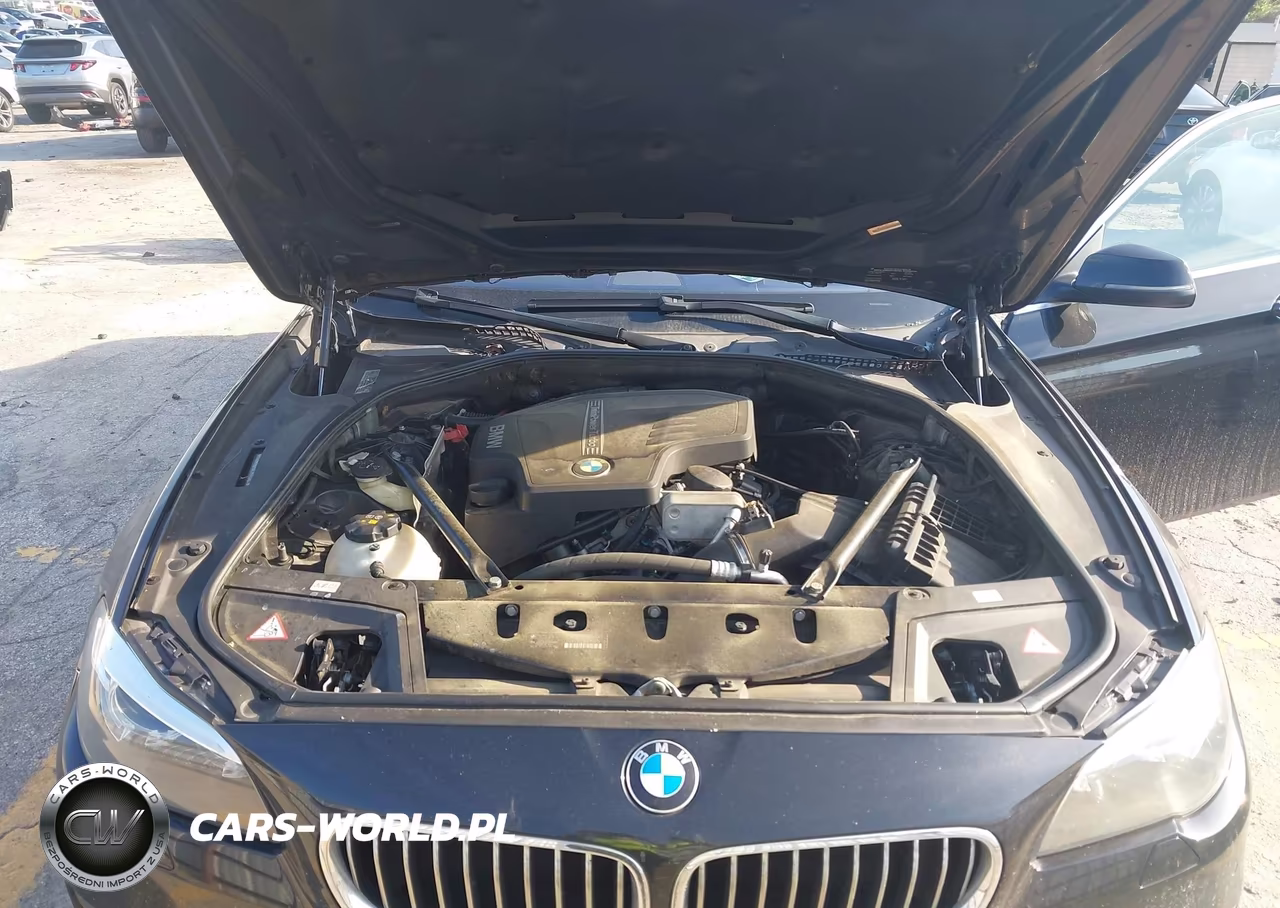 2014 BMW 528I VIN:WBA5A5C54ED504863 - 10