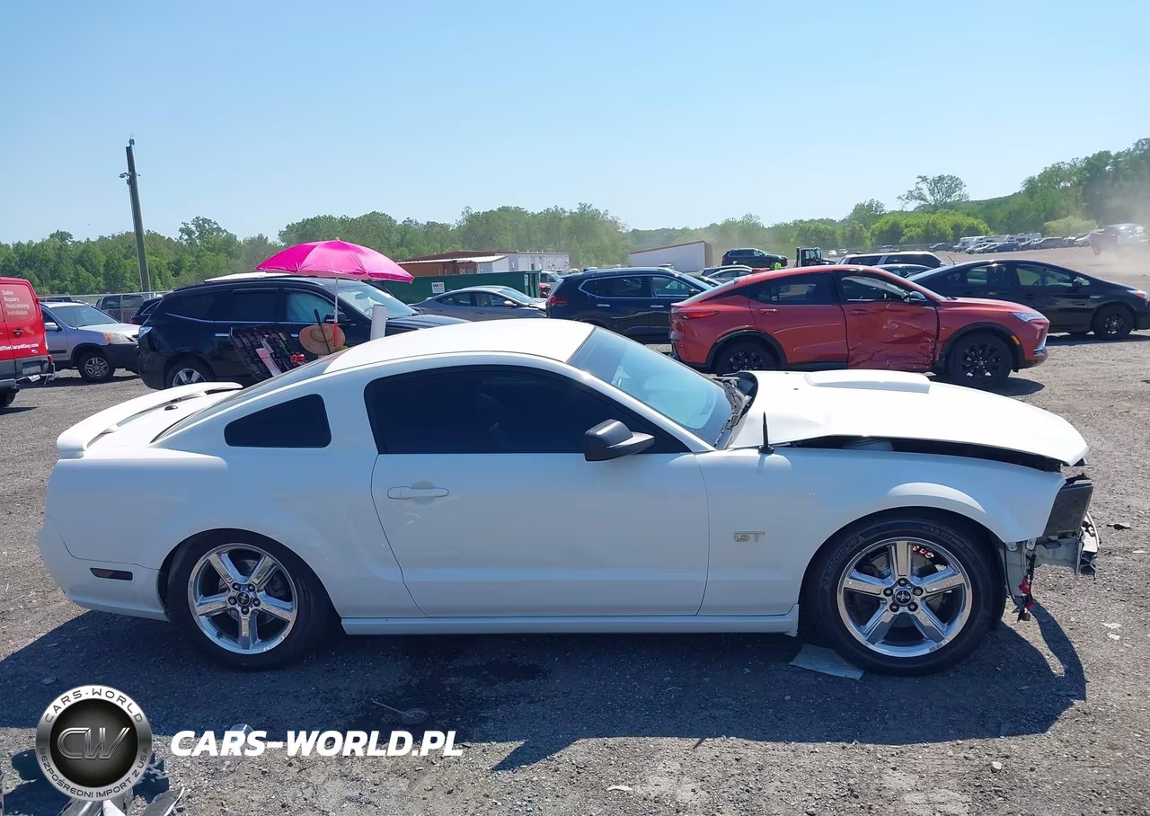 2007 Ford Mustang Gt Deluxe-Gt Premium VIN:1ZVFT82HX75234398 - 14