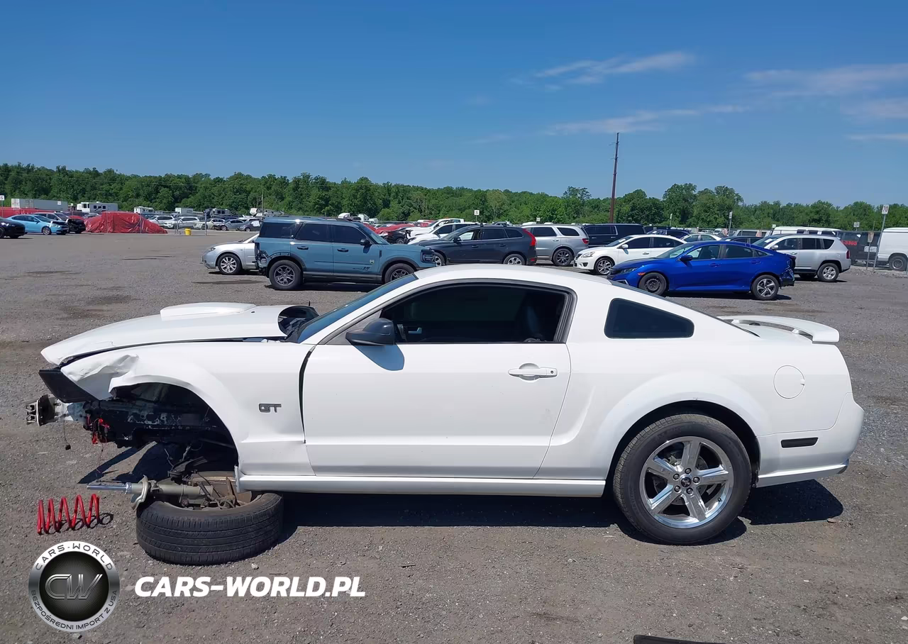 2007 Ford Mustang Gt Deluxe-Gt Premium VIN:1ZVFT82HX75234398 - 15