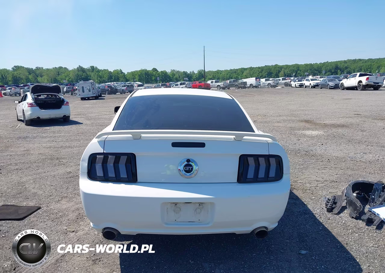 2007 Ford Mustang Gt Deluxe-Gt Premium VIN:1ZVFT82HX75234398 - 17