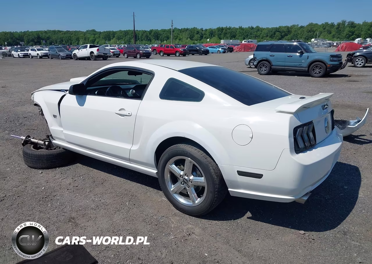 2007 Ford Mustang Gt Deluxe-Gt Premium VIN:1ZVFT82HX75234398 - 3