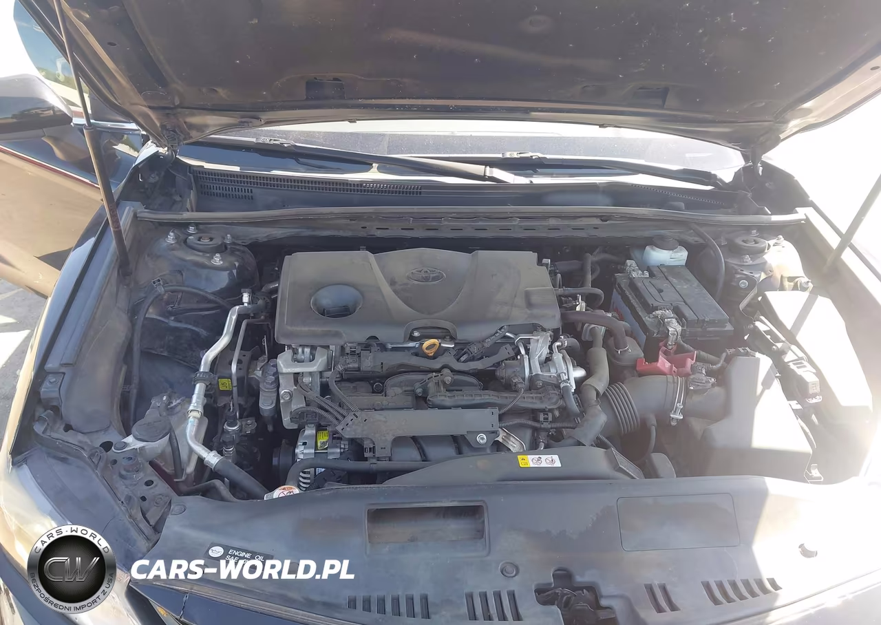 2019 Toyota Camry Le VIN:4T1B11HK2KU819861 - 10