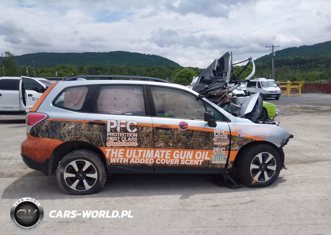 2017 Subaru Forester 2.5I VIN:JF2SJABC5HH420984 - 13