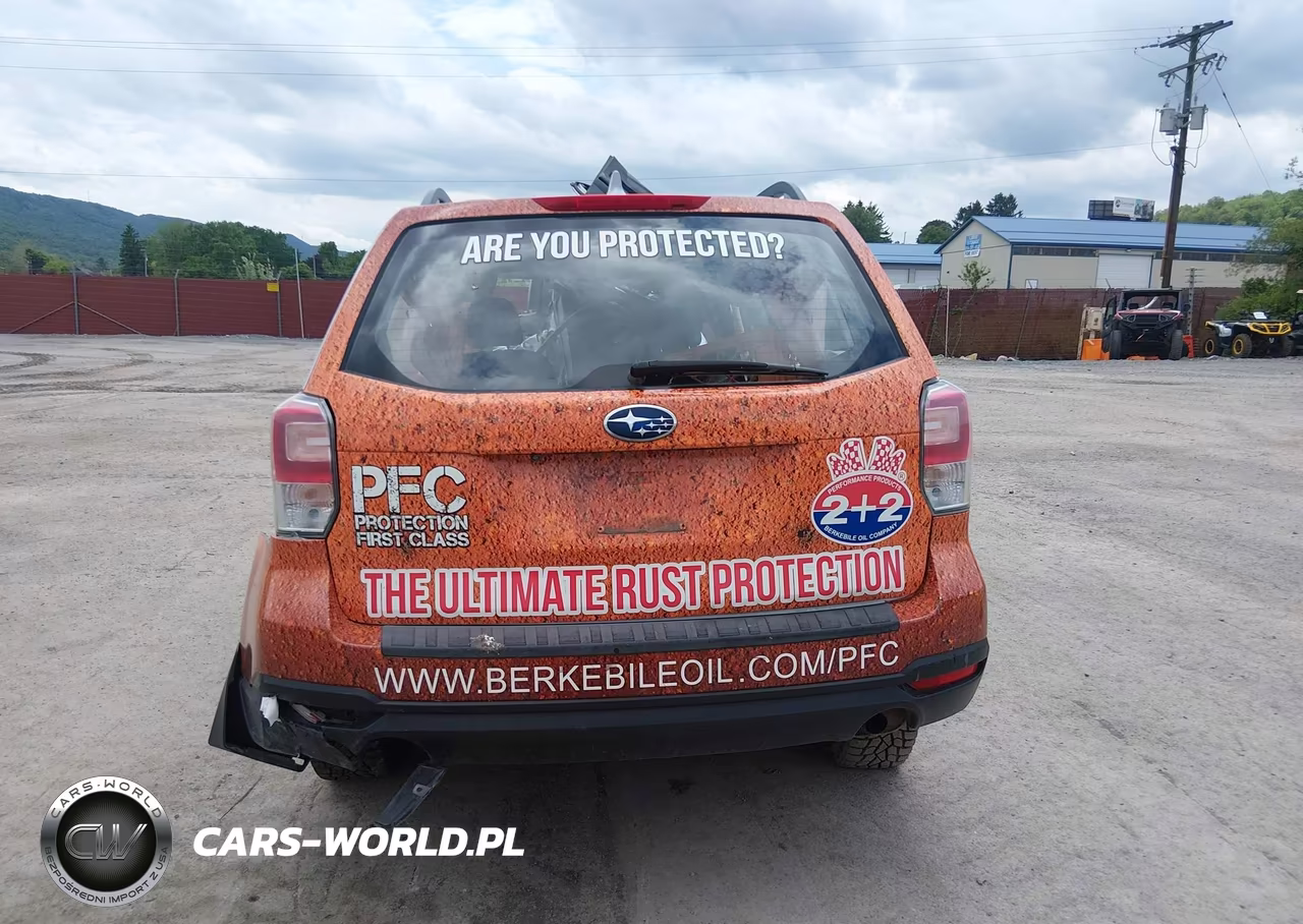 2017 Subaru Forester 2.5I VIN:JF2SJABC5HH420984 - 16