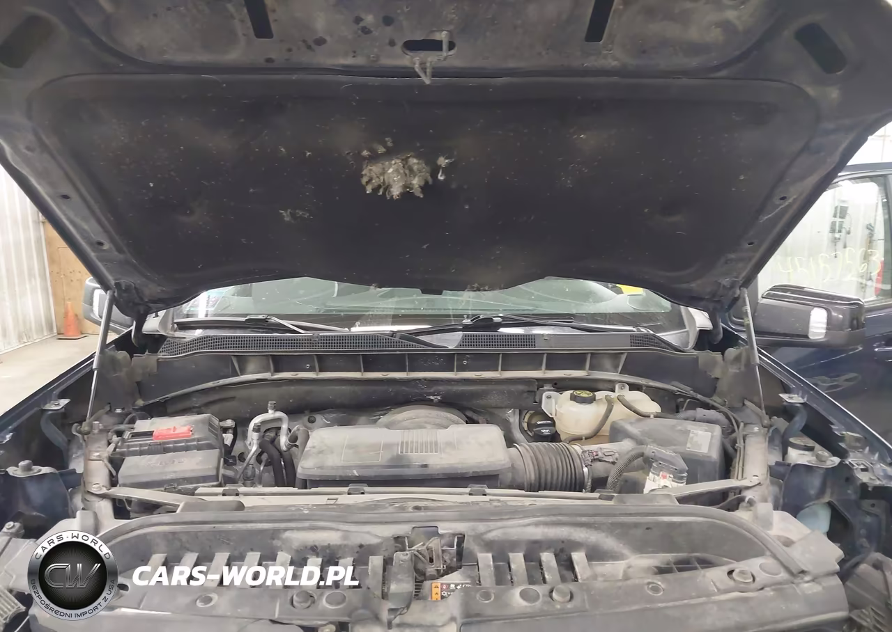 2020 Chevrolet Silverado 1500 4Wd Short Bed Rst VIN:3GCUYEED5LG186668 - 10