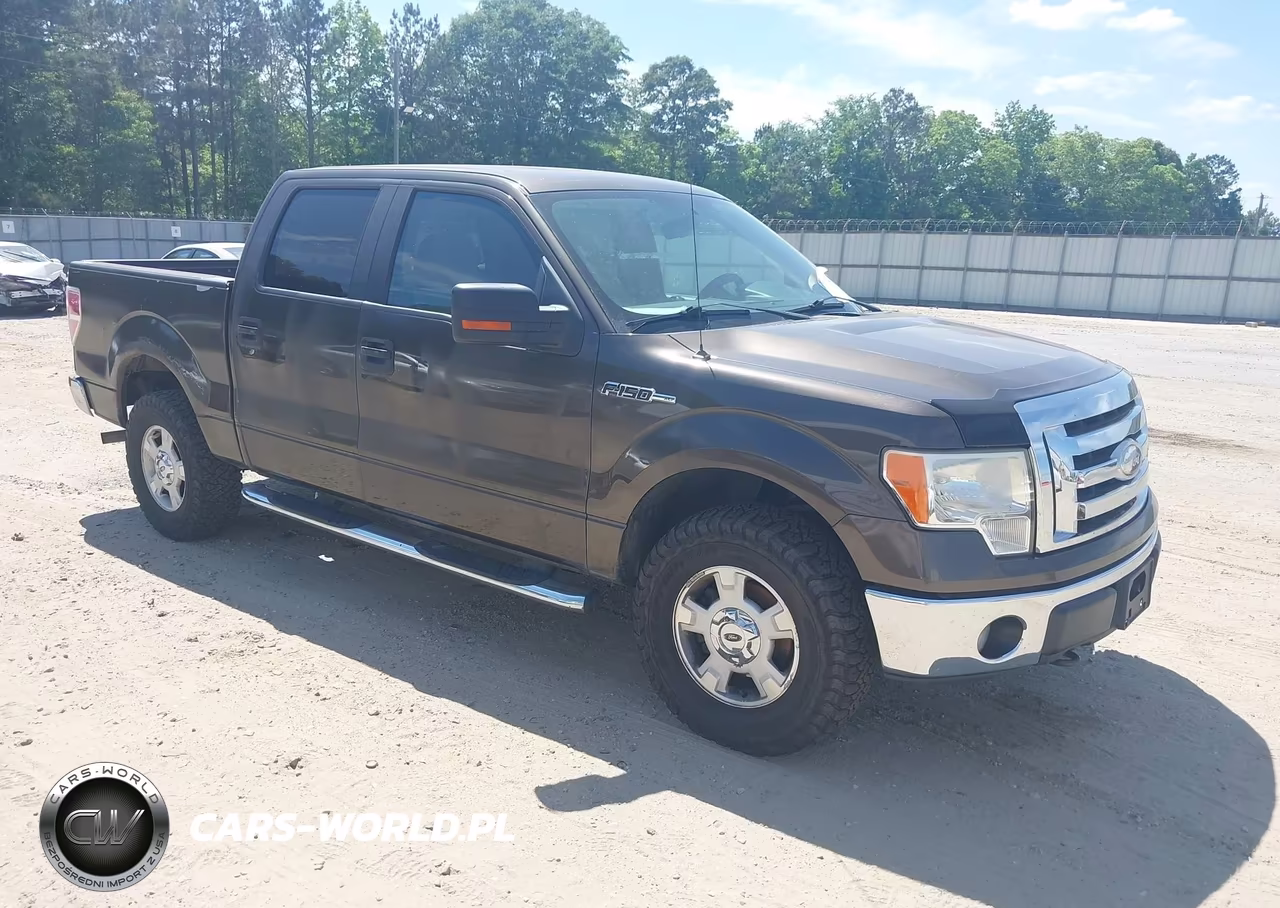 2009 Ford F-150 Fx4-King Ranch-Lariat-Platinum-Xl-Xlt